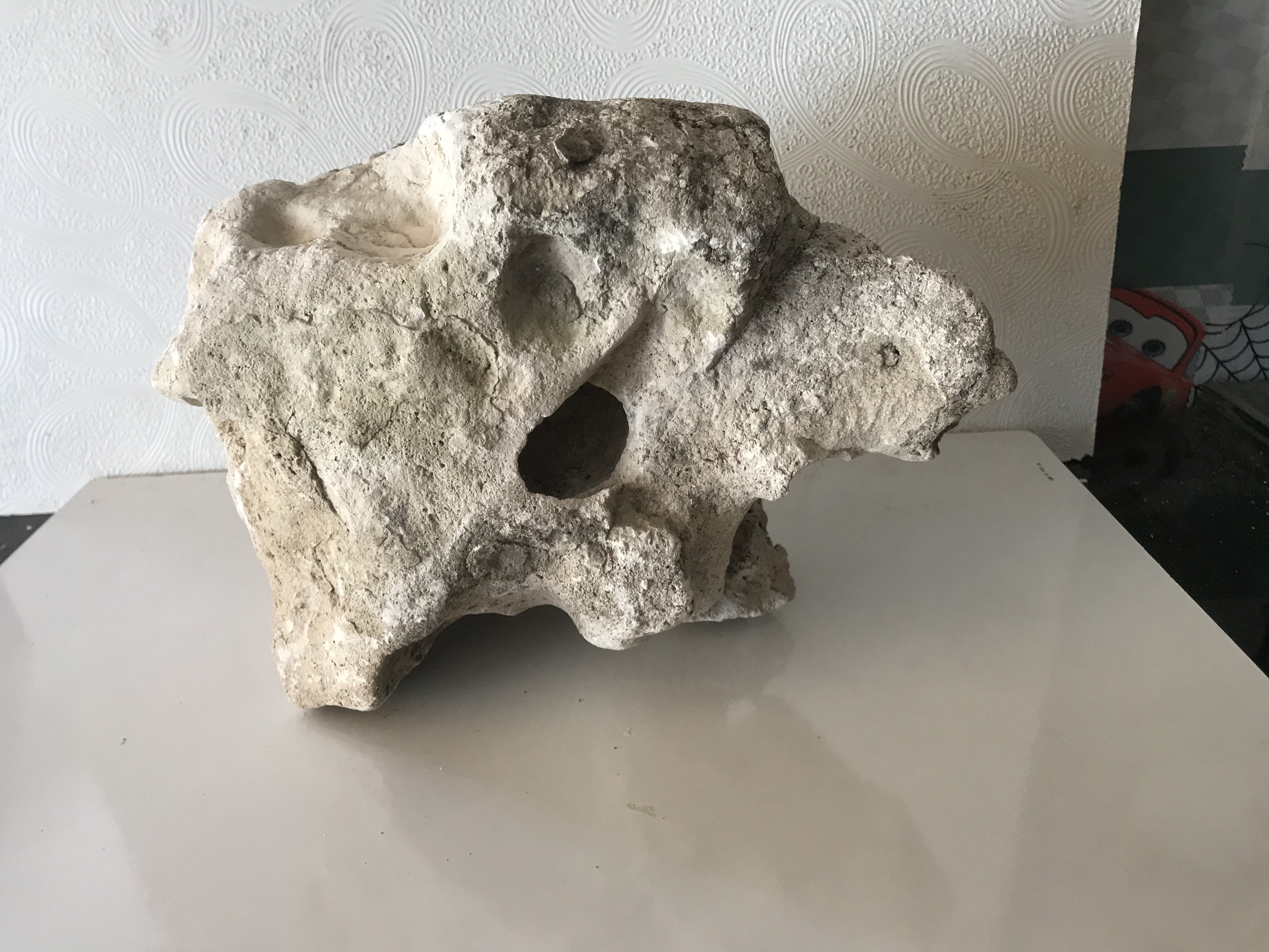 Cas Akvaryum Dekorasyon Kayası Büyük Boy T-Rex